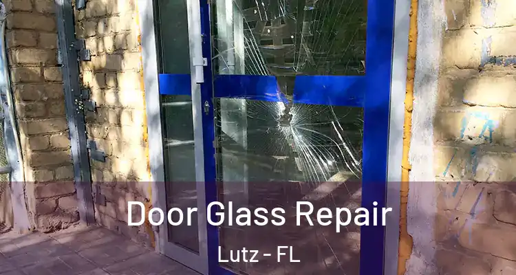  Door Glass Repair Lutz - FL