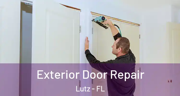  Exterior Door Repair Lutz - FL