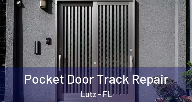  Pocket Door Track Repair Lutz - FL