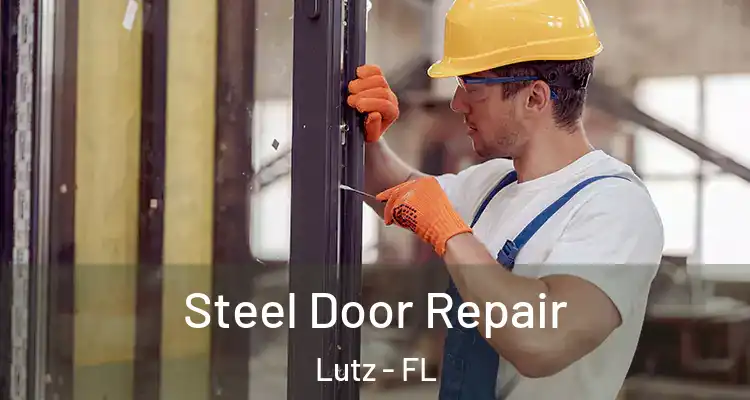  Steel Door Repair Lutz - FL
